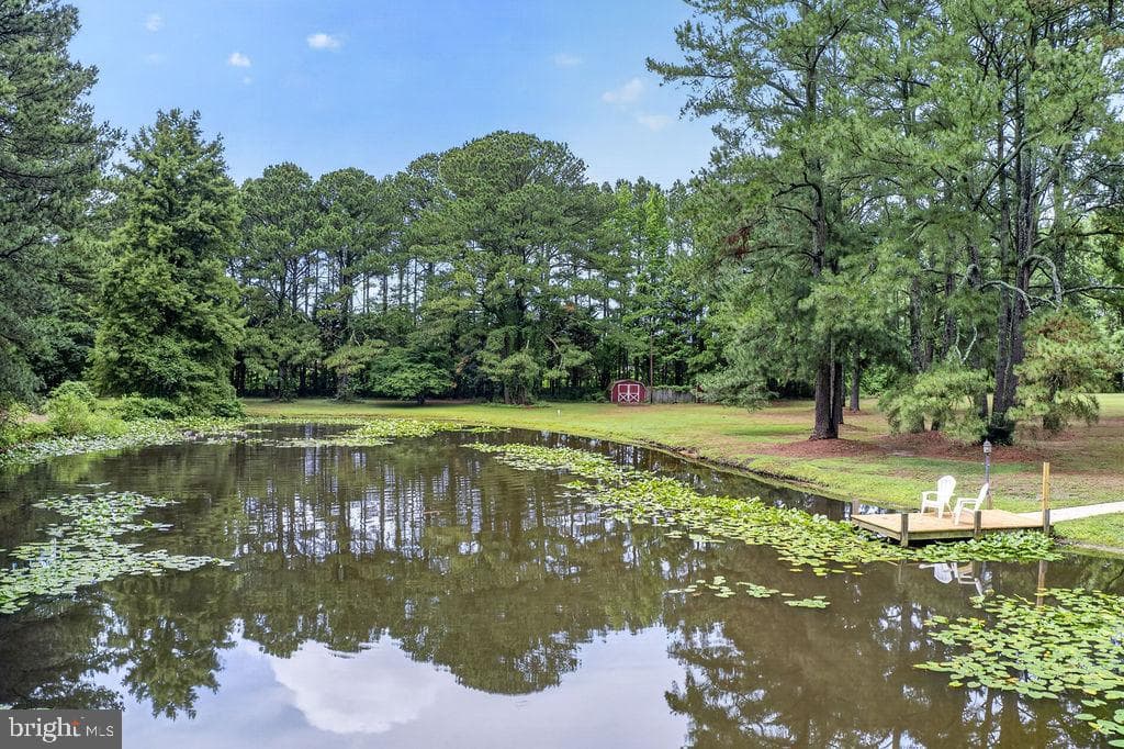 30124 Peggy Ln photo 6