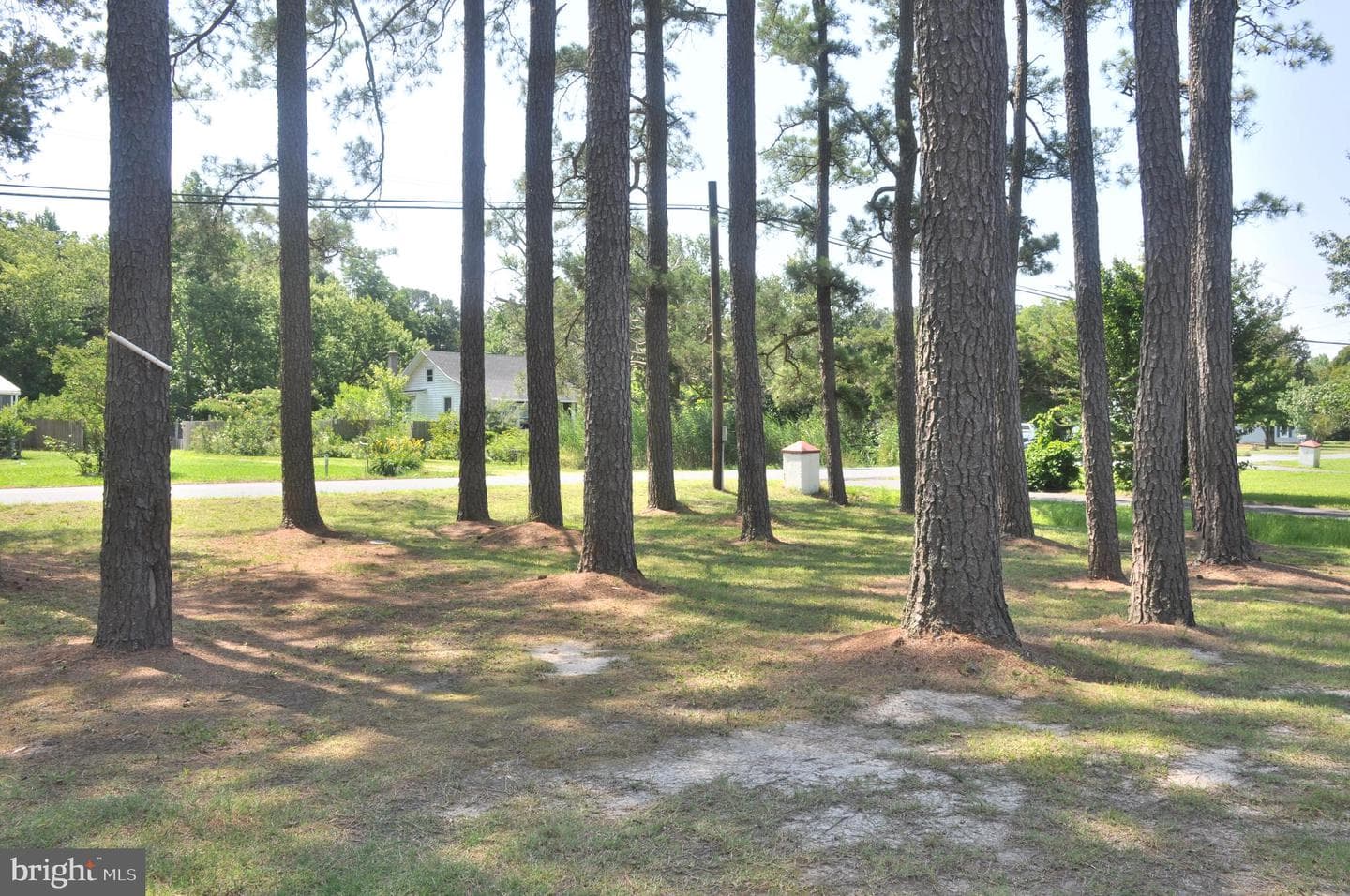 27354 Fairmount Road photo 4