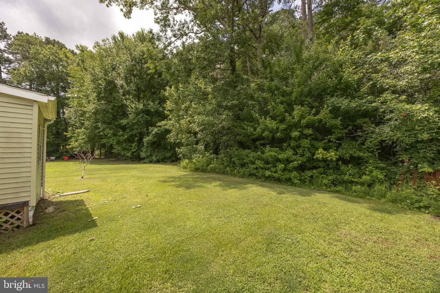 11950 Drexwood Drive photo 42