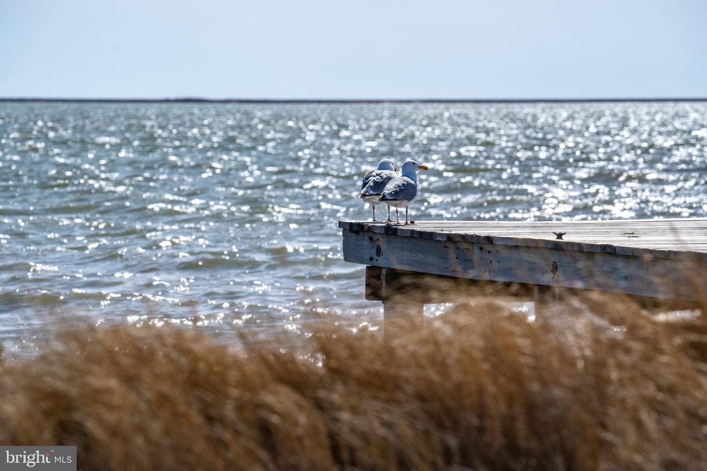 1 Lavallette photo 97