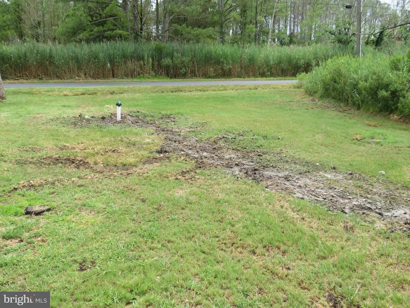 2815 Calvary Road photo 22