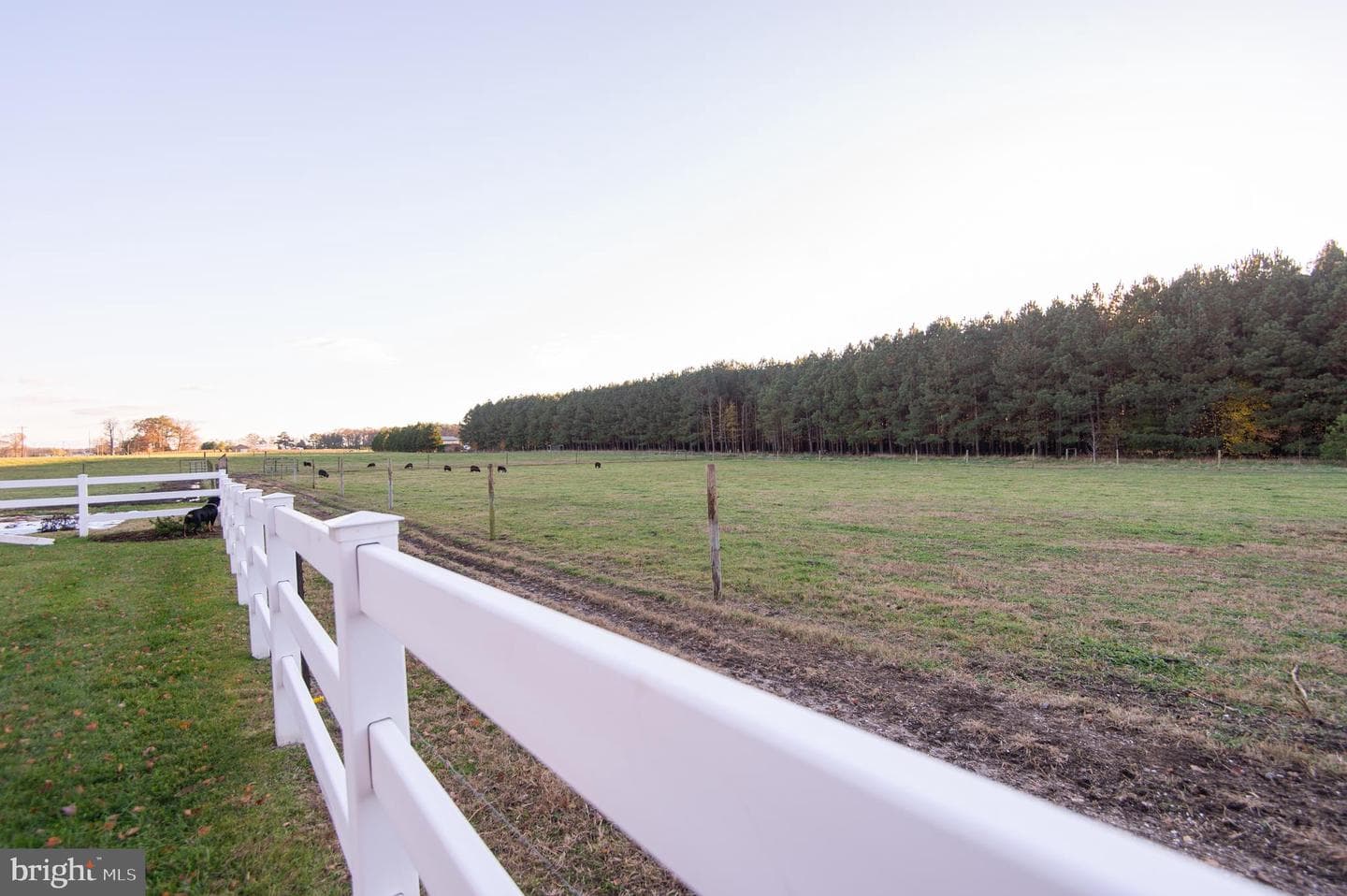 11292 3 Bridge Branch Road photo 13