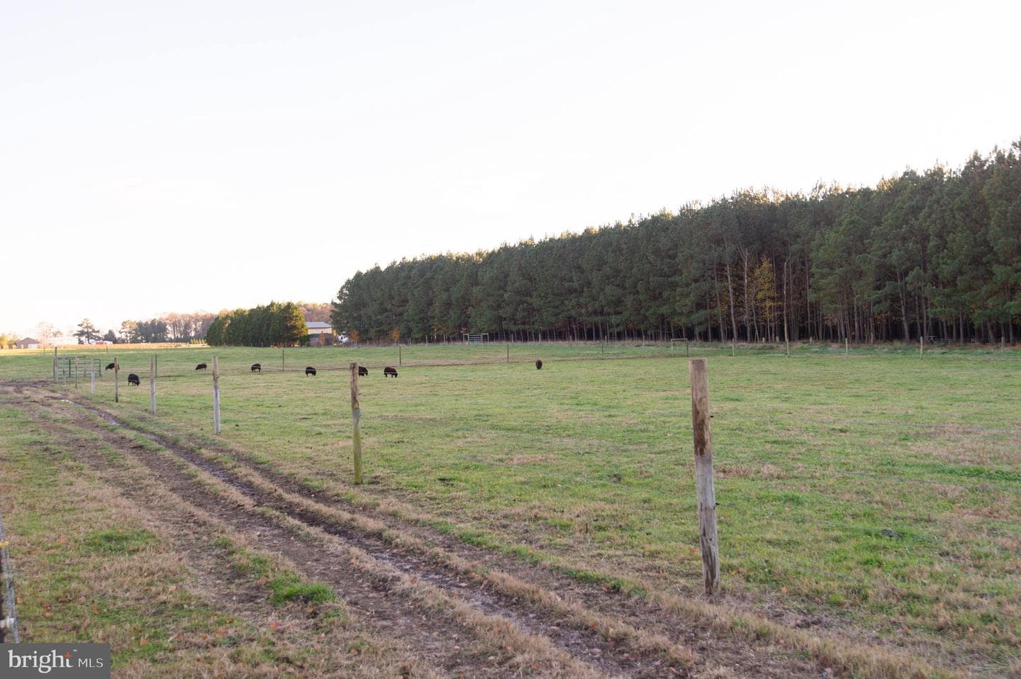 11292 3 Bridge Branch Road photo 14
