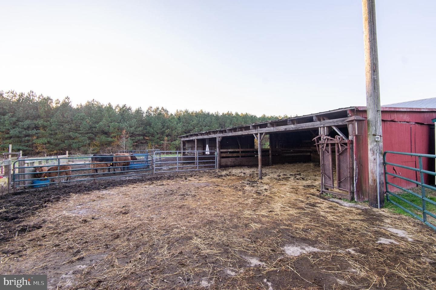 11292 3 Bridge Branch Road photo 15
