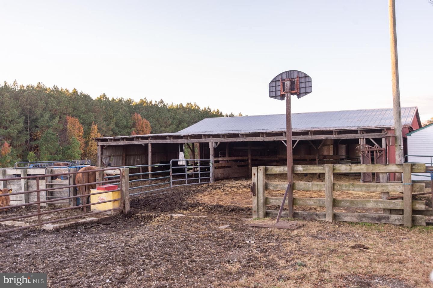 11292 3 Bridge Branch Road photo 16
