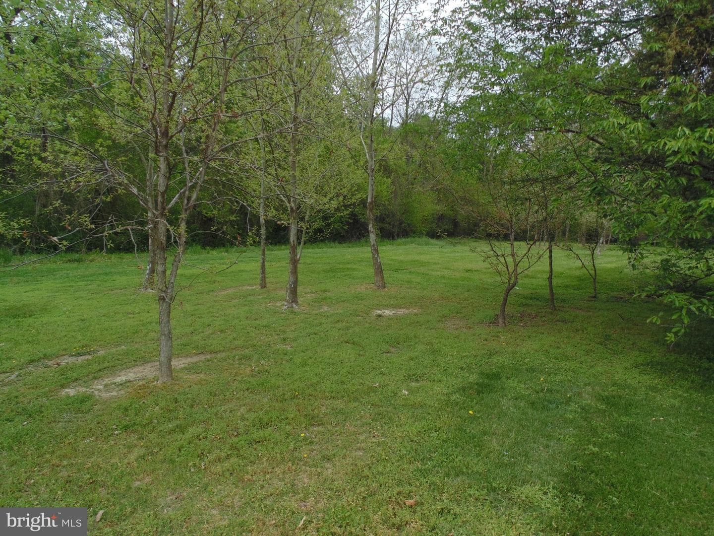 29296 Corbin Parkway photo 35