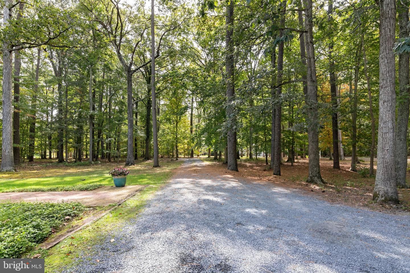 28380 Canvasback Lane photo 10