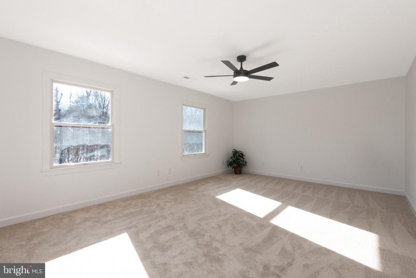 29679 Lexington Street photo 22