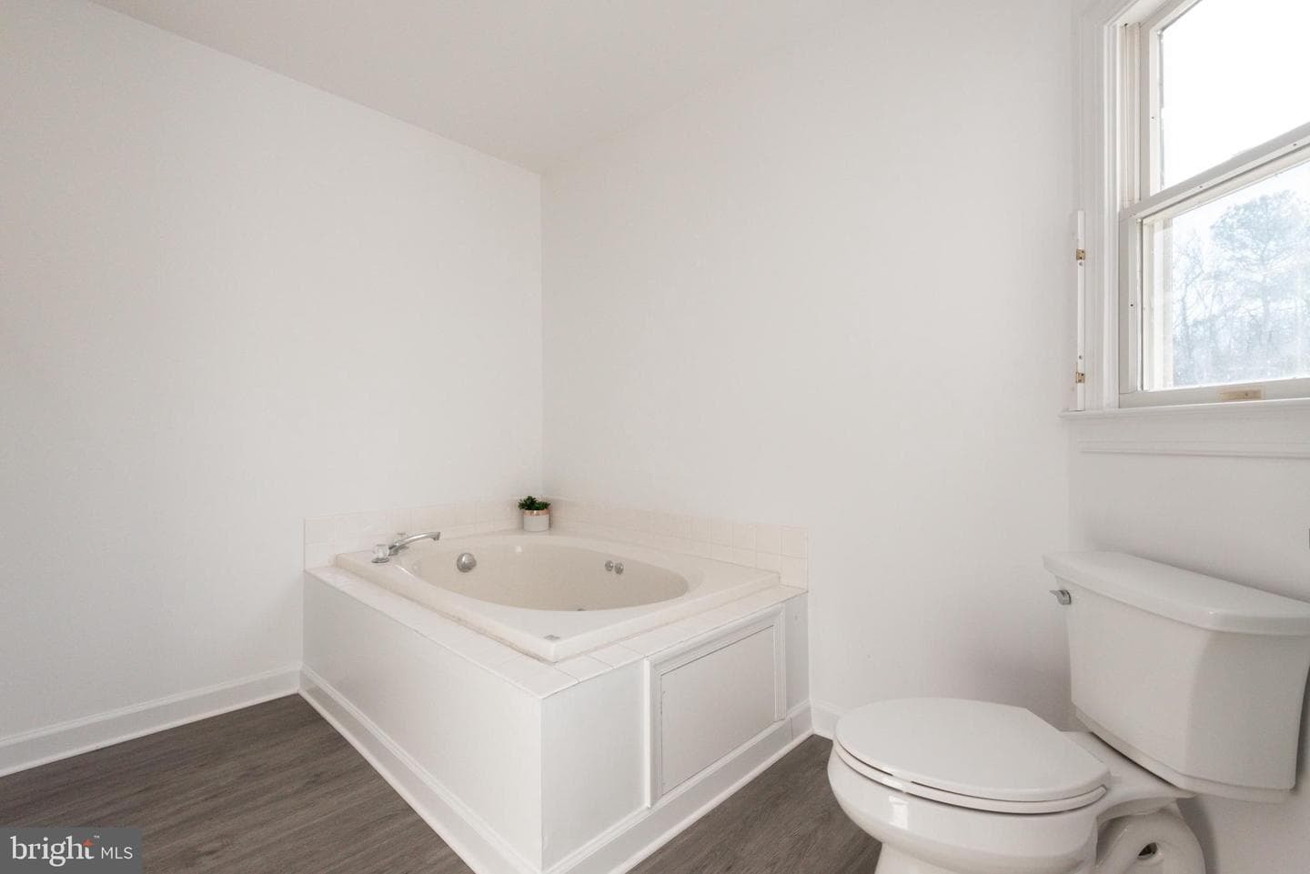 29679 Lexington Street photo 25