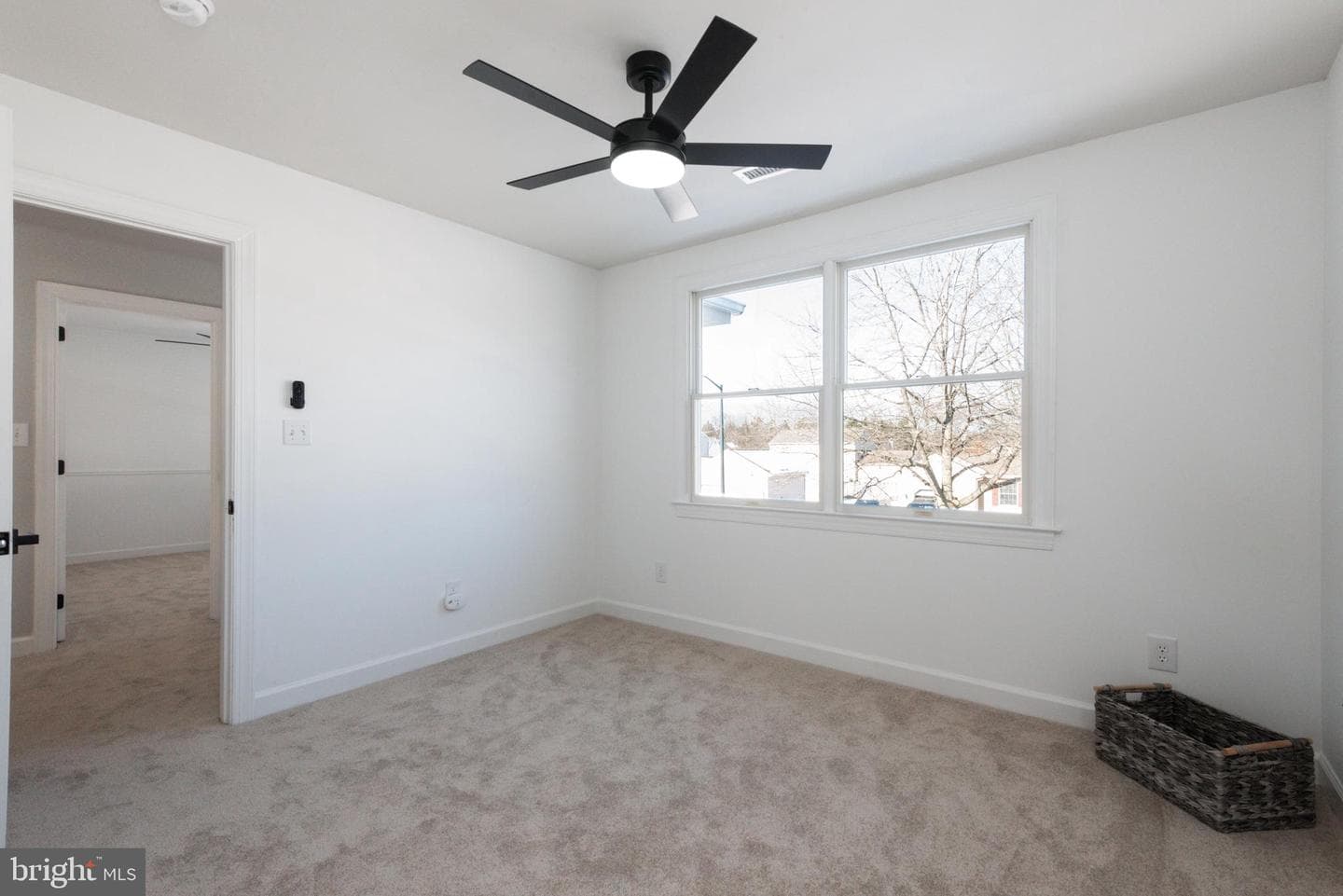 29679 Lexington Street photo 29