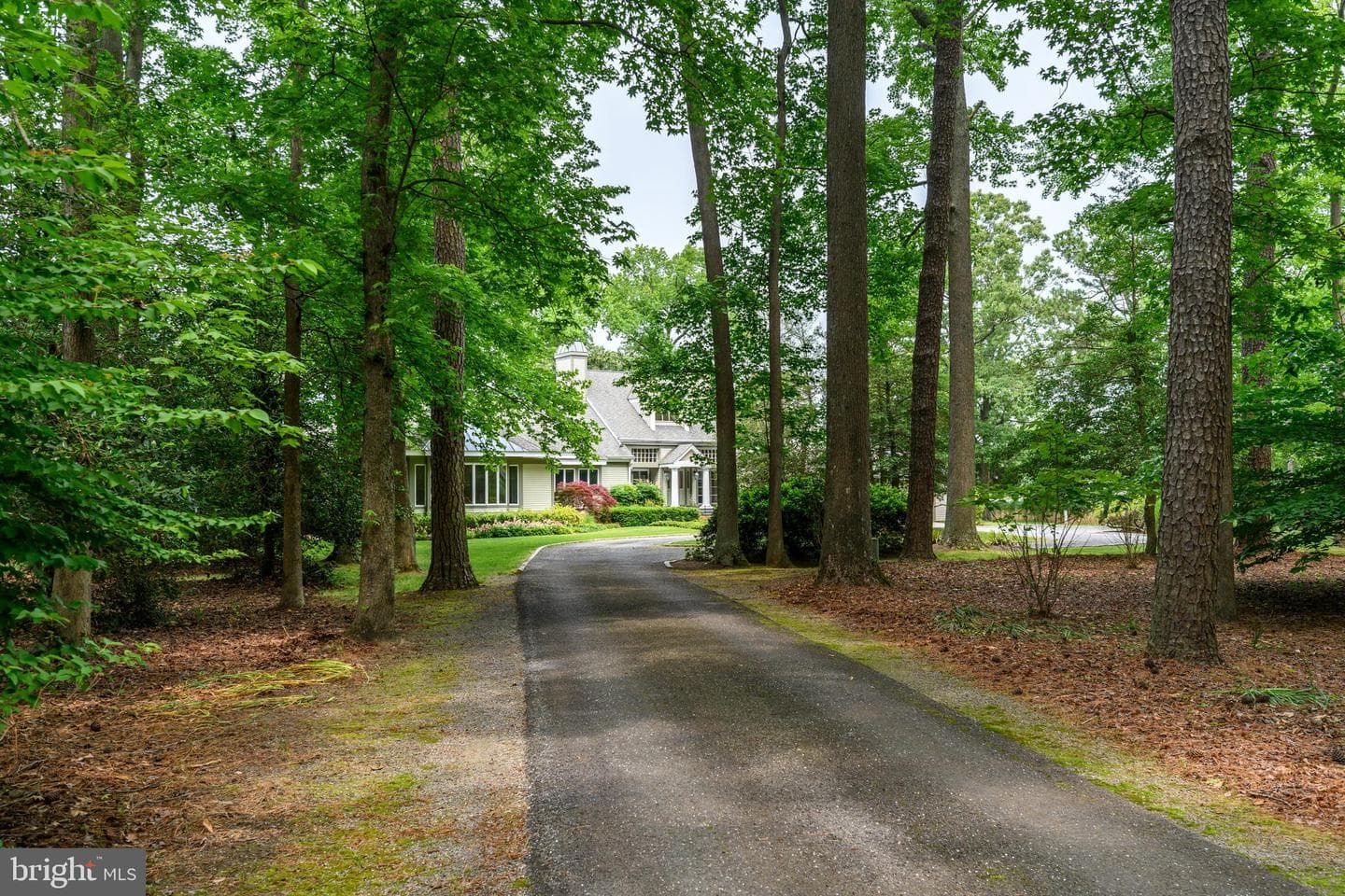 26372 Westerly Road photo 7