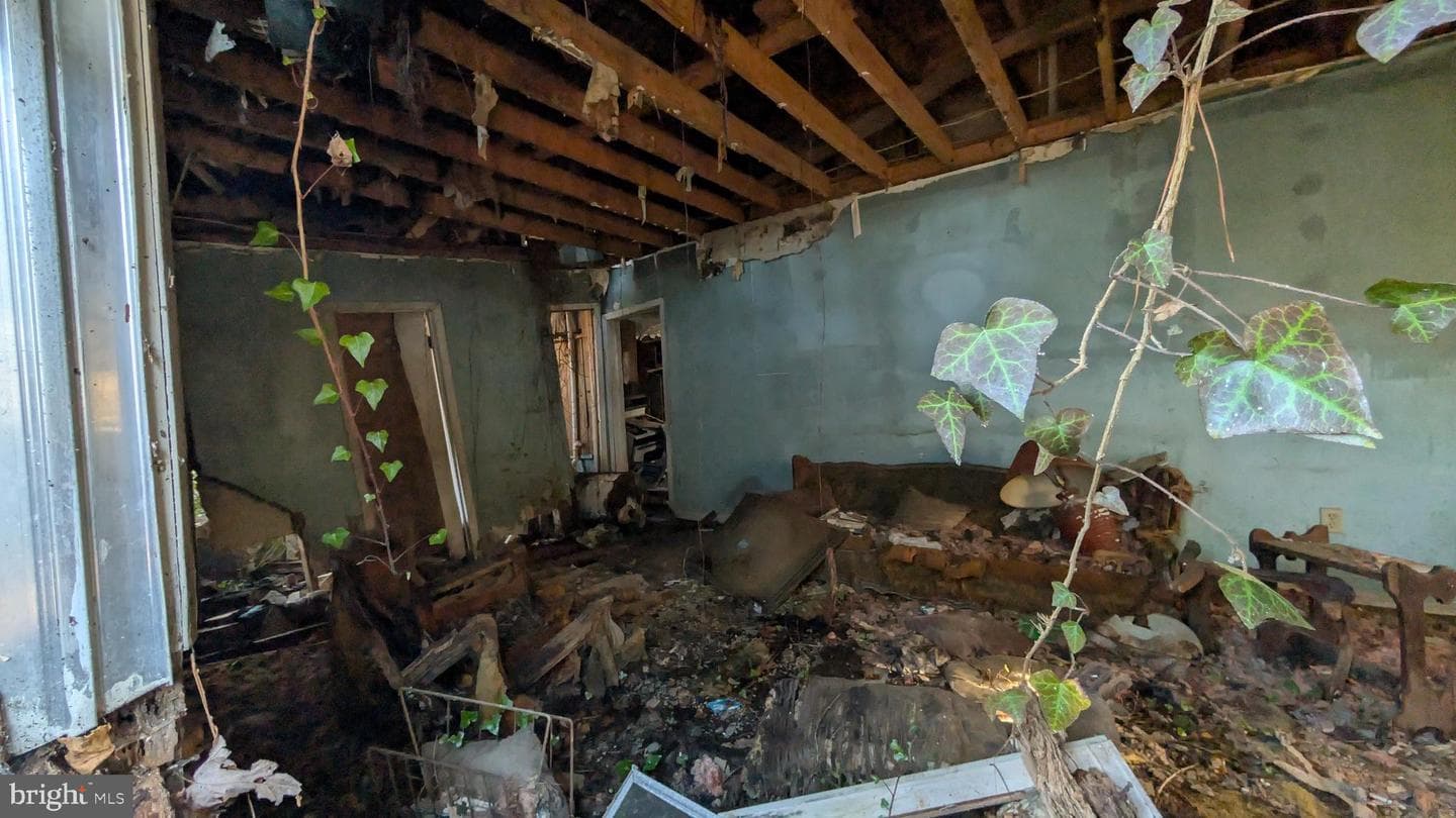 25790 Dawson Street photo 3
