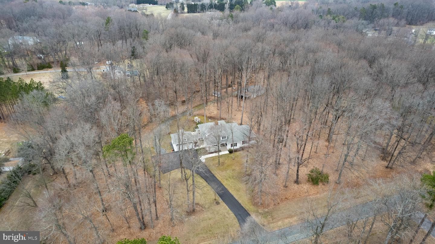 29490 Whitetail Drive photo 78