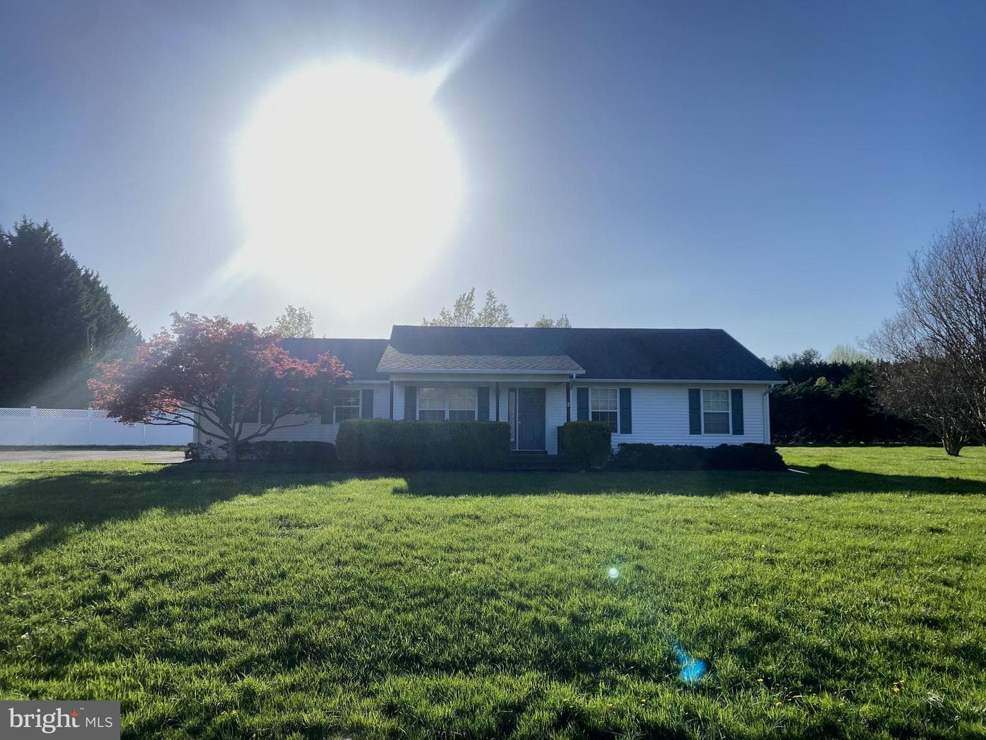 12750 Orchard Drive photo 2