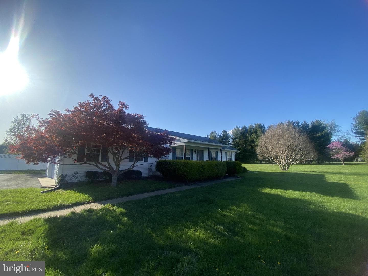 12750 Orchard Drive photo 4