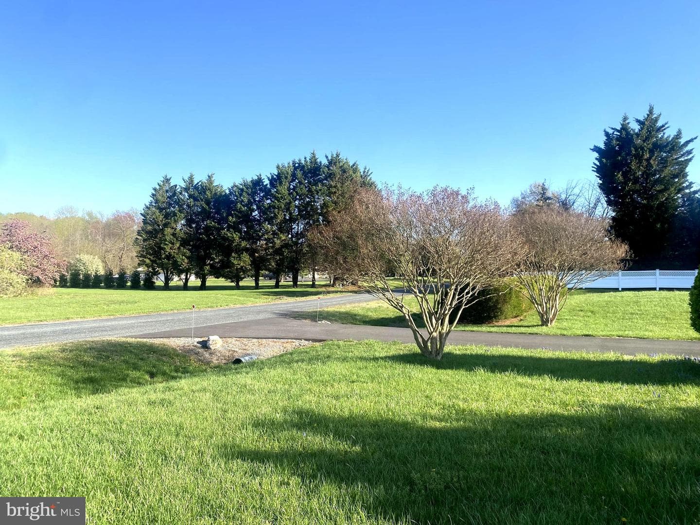 12750 Orchard Drive photo 5
