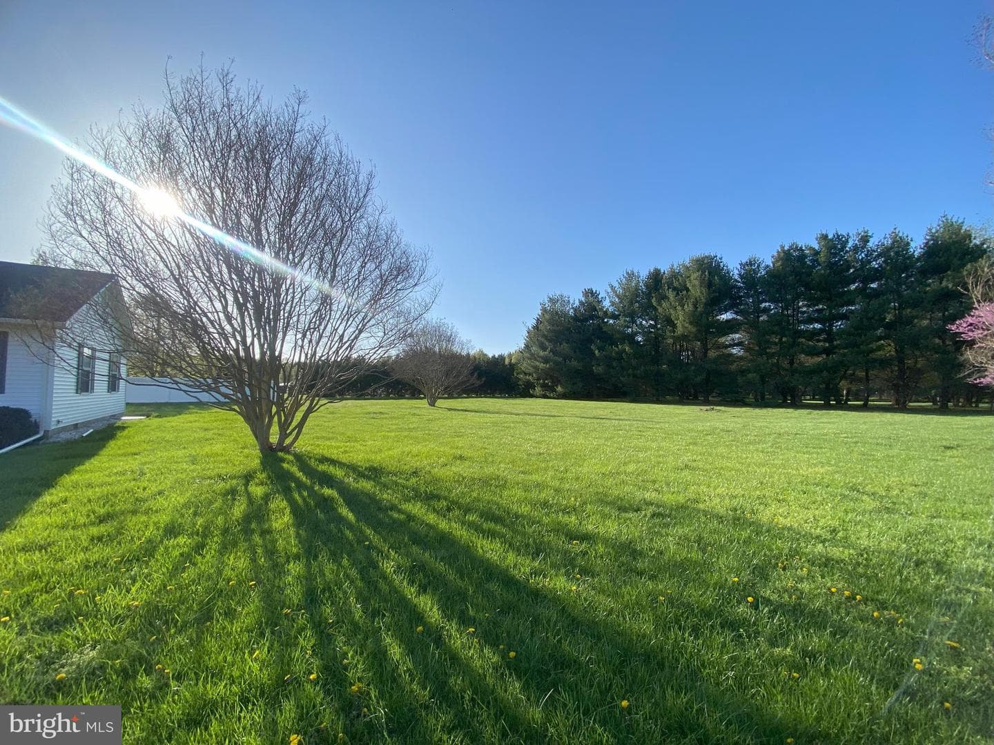 12750 Orchard Drive photo 53