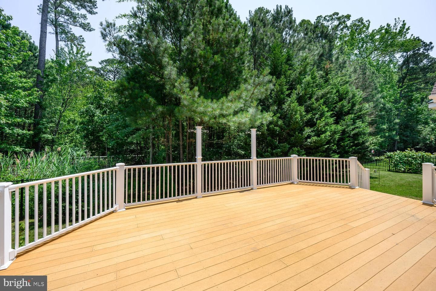 24977 Back Creek Drive photo 10