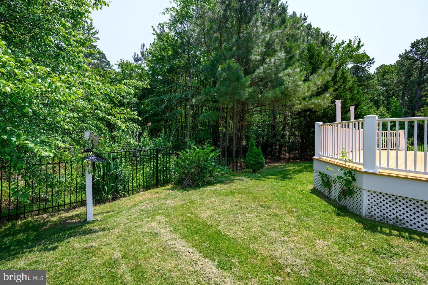 24977 Back Creek Drive photo 11