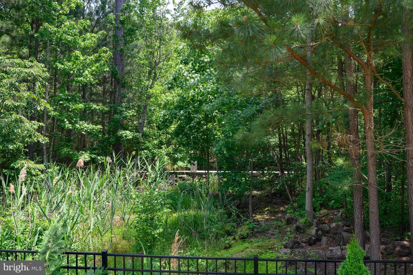 24977 Back Creek Drive photo 12