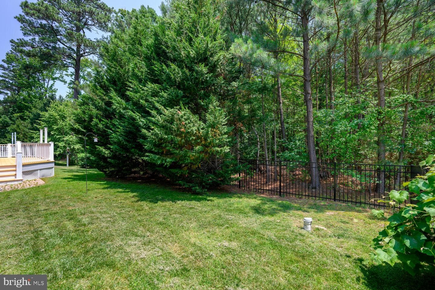 24977 Back Creek Drive photo 13