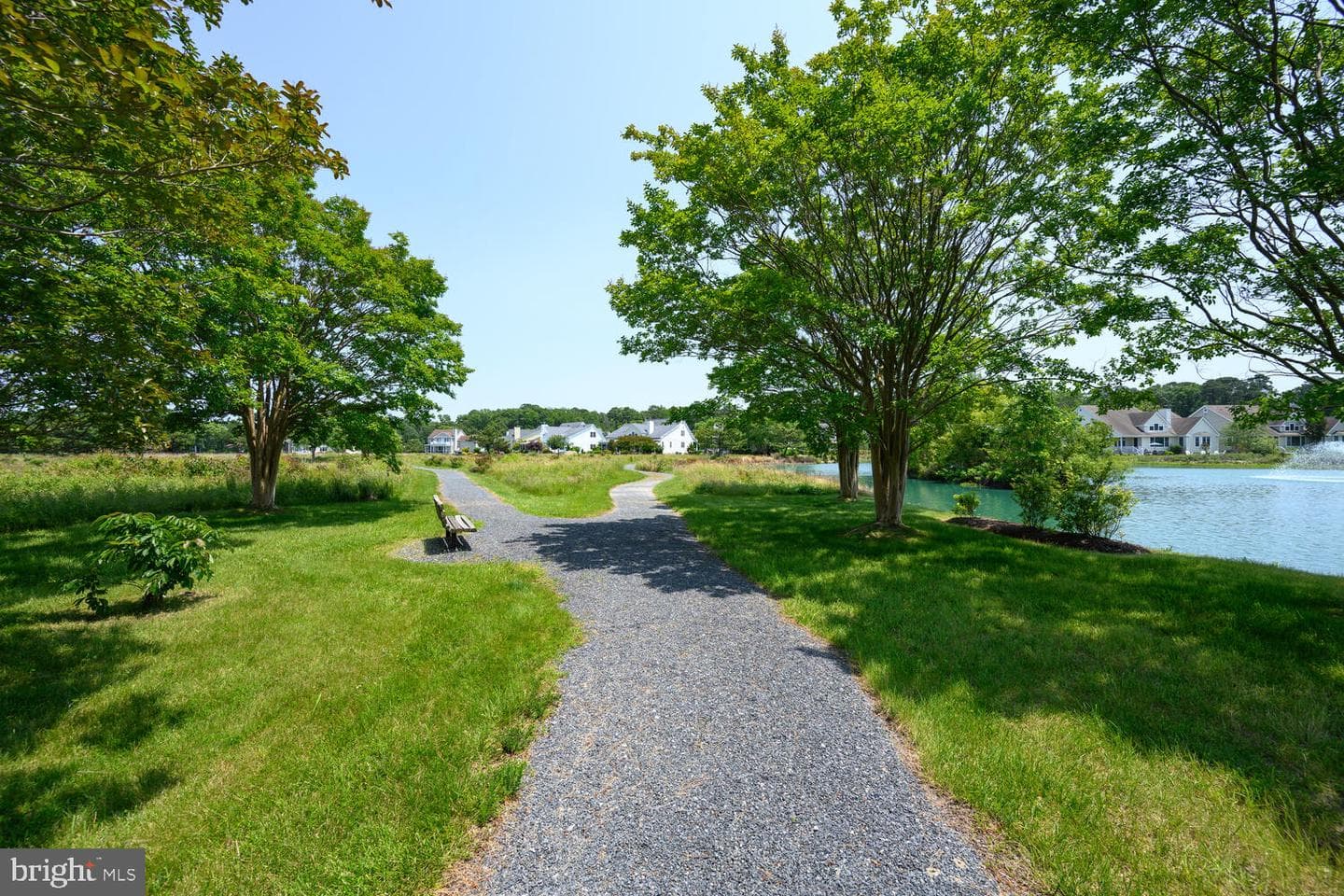 24977 Back Creek Drive photo 65