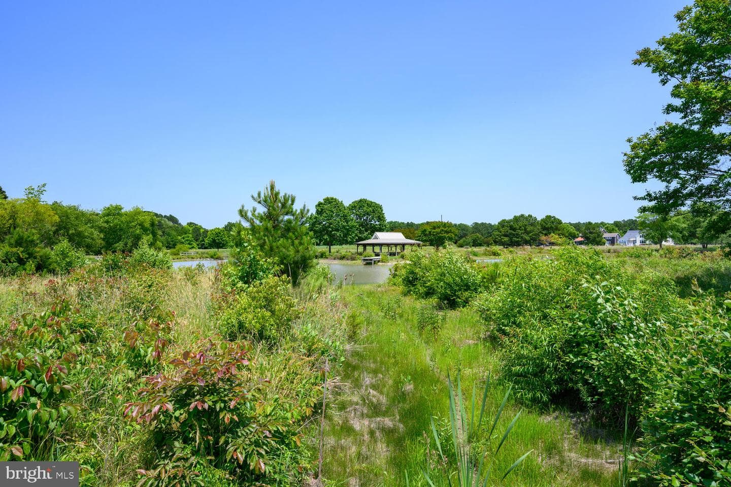 24977 Back Creek Drive photo 66