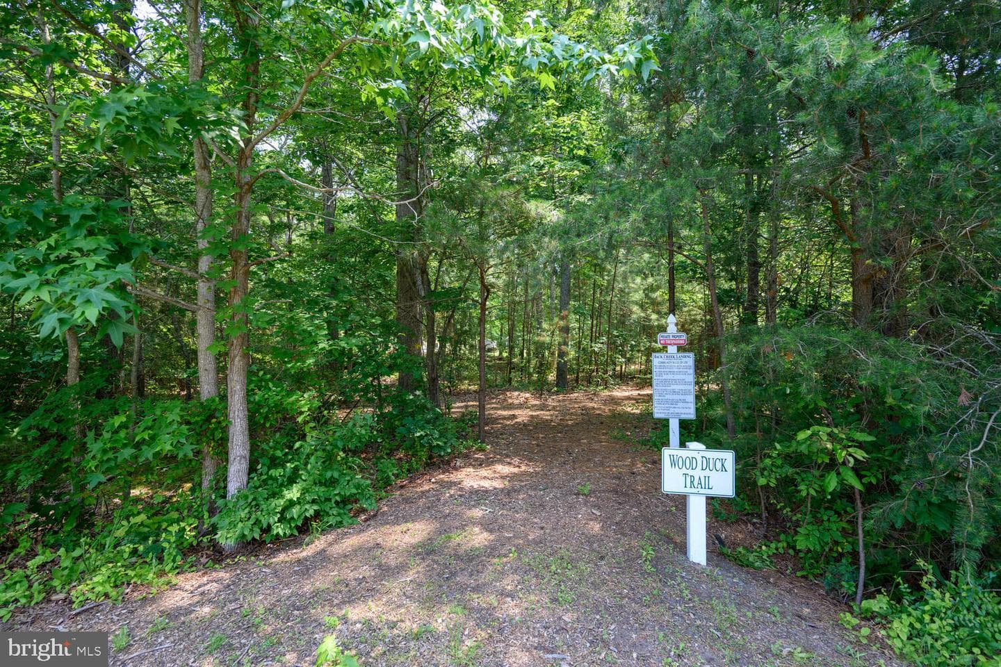 24977 Back Creek Drive photo 70