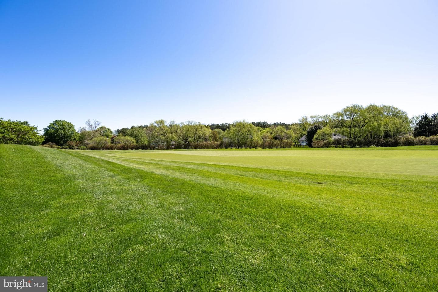 9529 Quail Hollow #503 photo 38