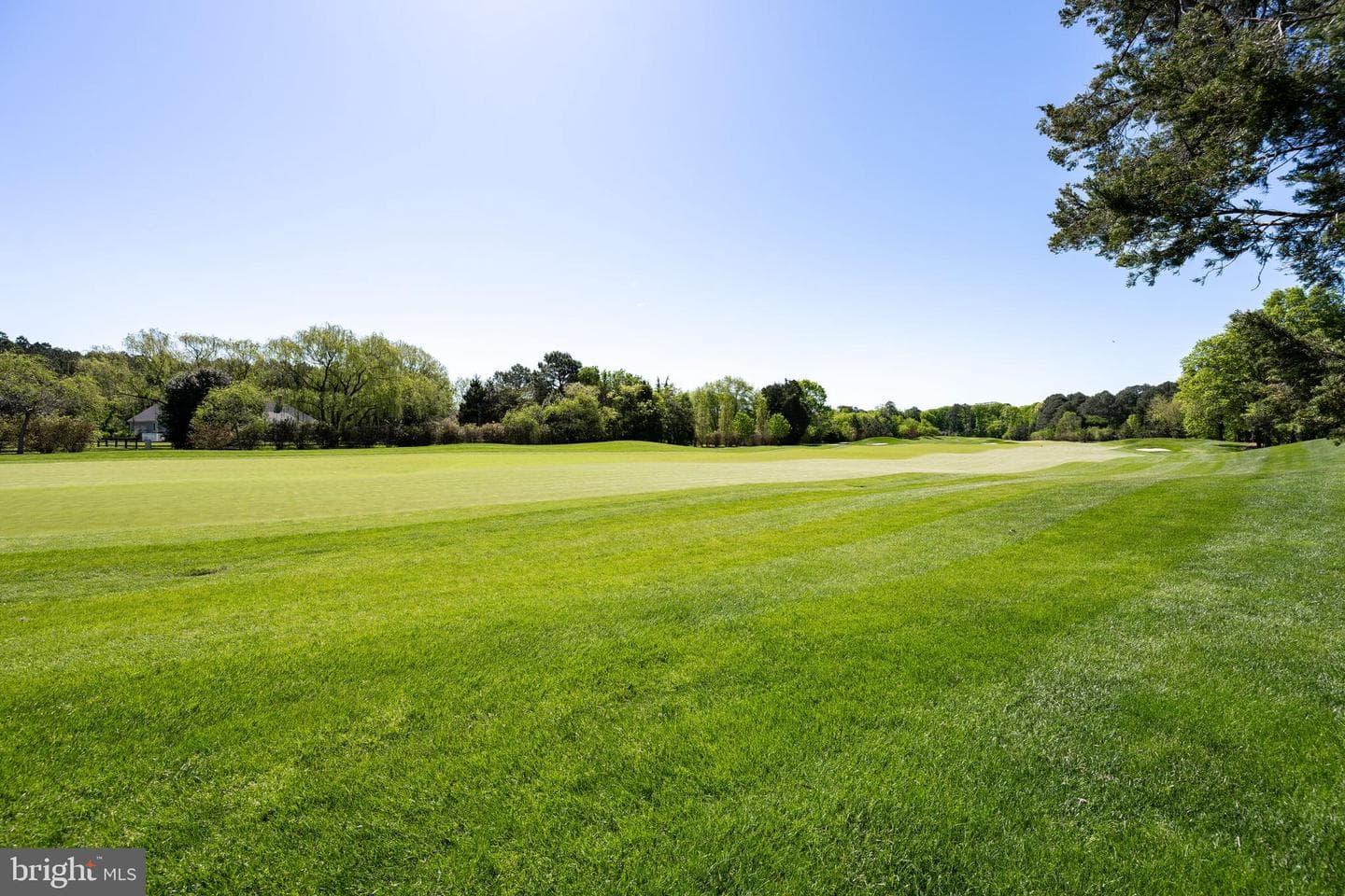 9529 Quail Hollow #503 photo 39