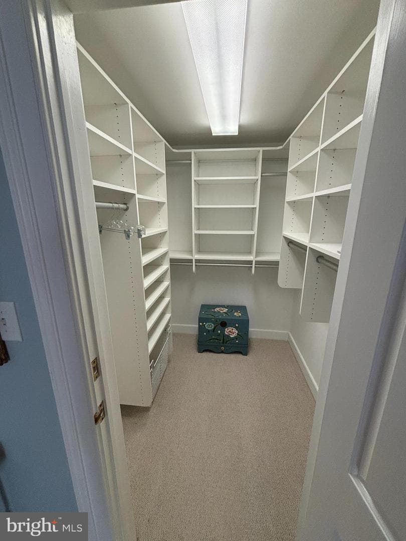 117 E Dover Street #206 photo 17