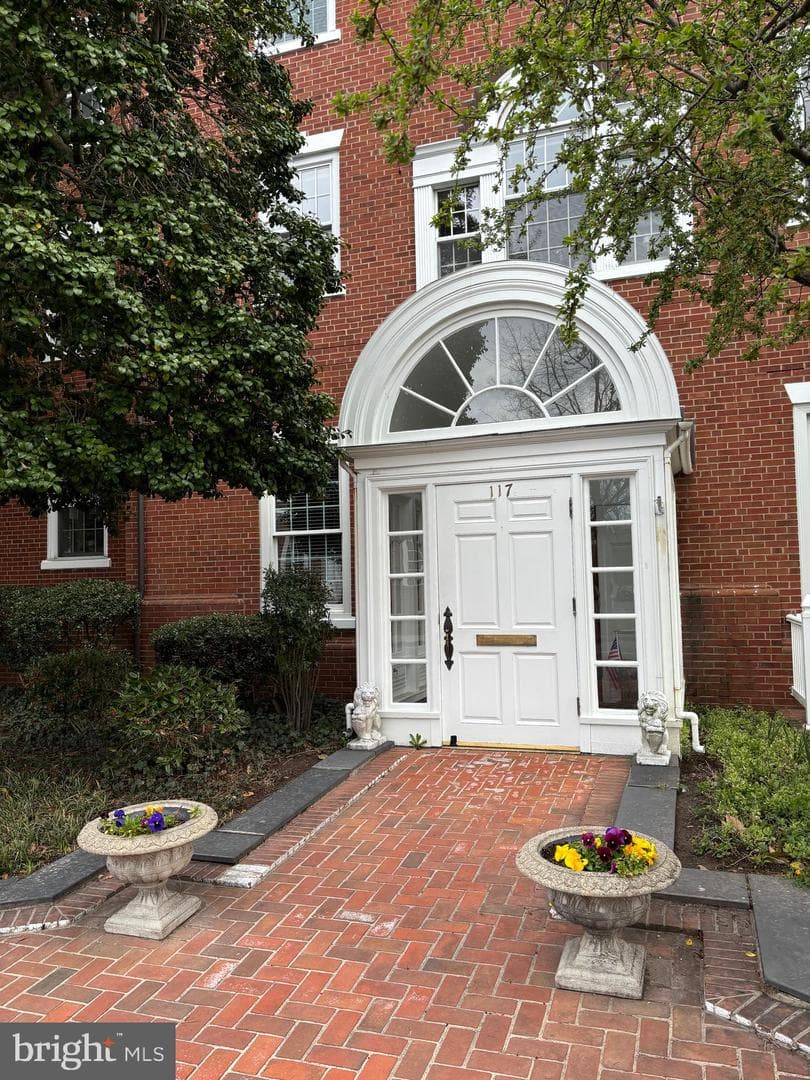 117 E Dover Street #206 photo 2