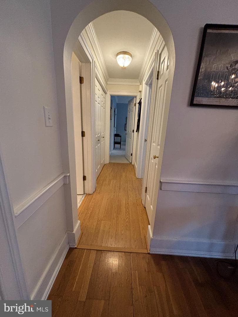 117 E Dover Street #206 photo 23
