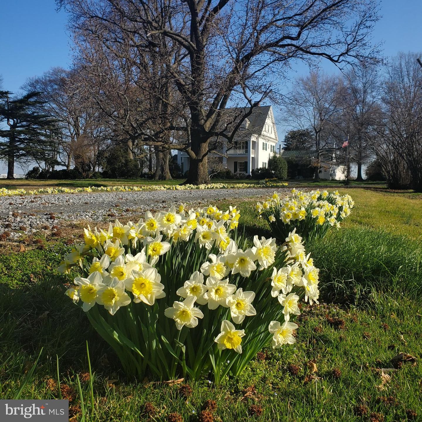 10770 Rich Neck Road photo 75
