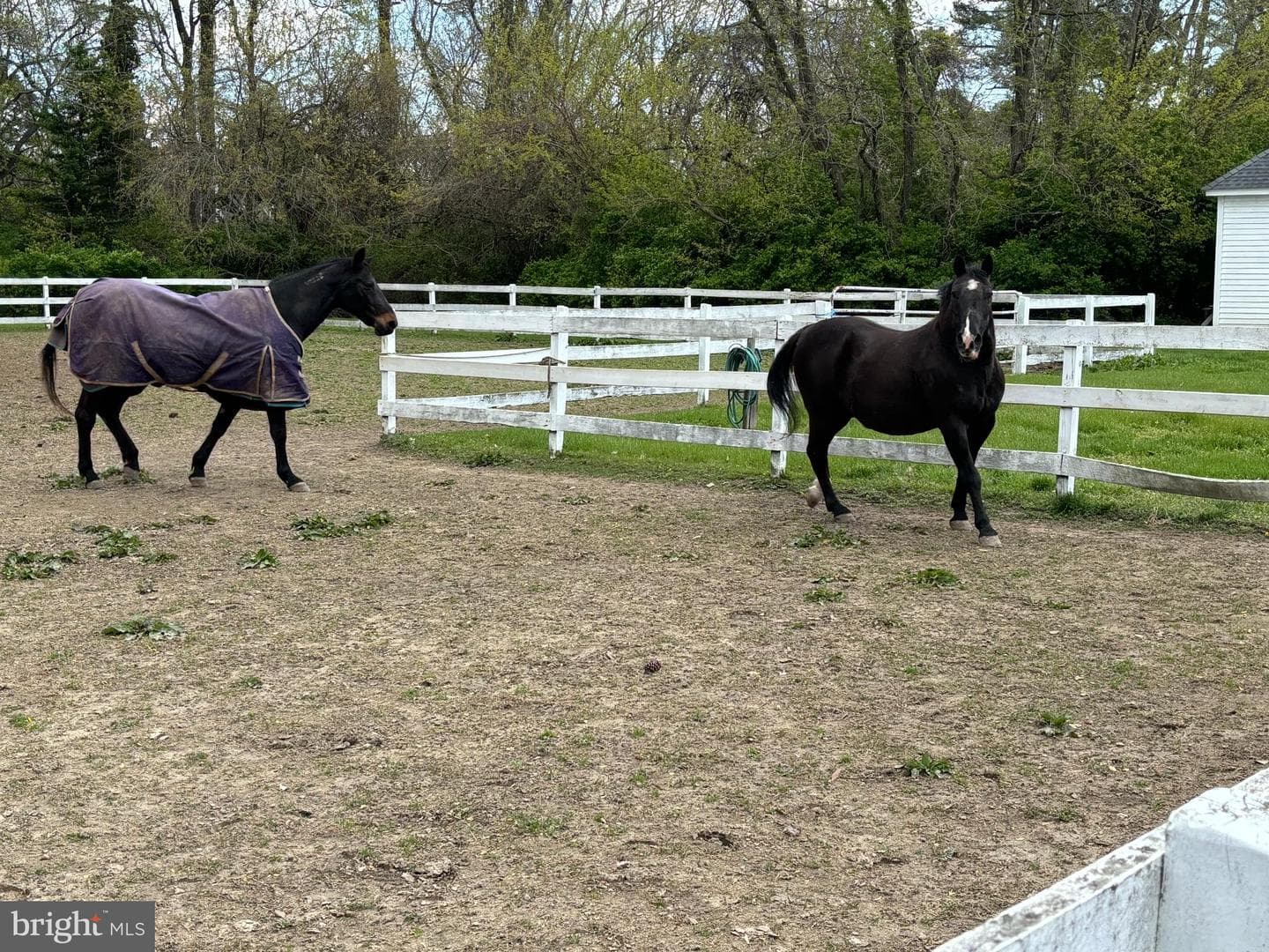 10770 Rich Neck Road photo 86