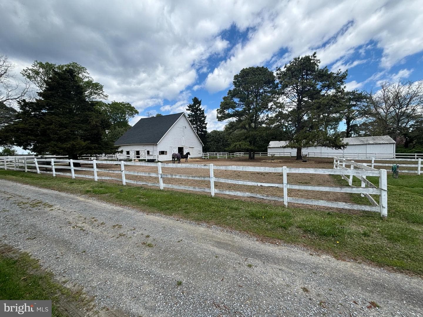 10770 Rich Neck Road photo 87