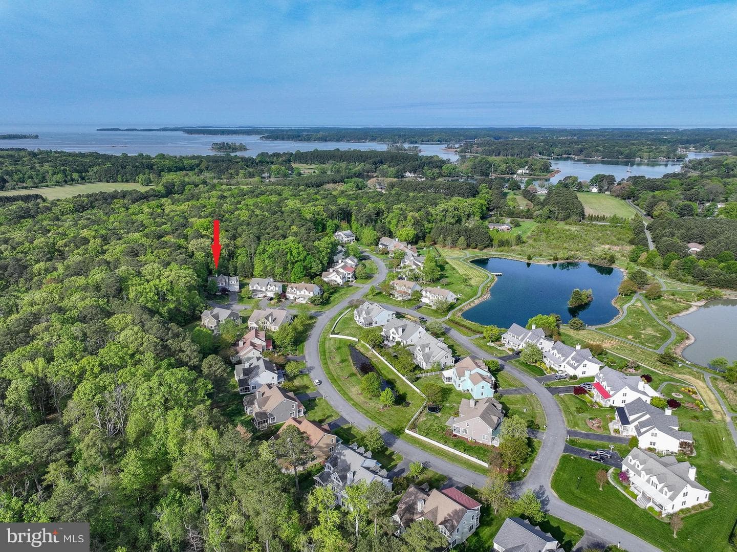7896 Hart Glen photo 68