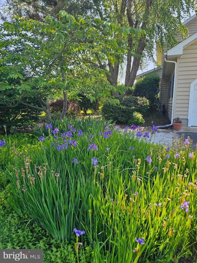 24749 Swan Road photo 38