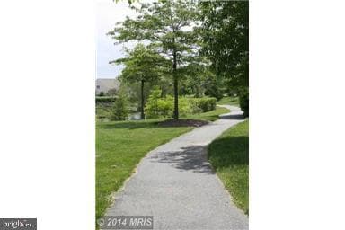 7444 Jeffreys Way photo 41