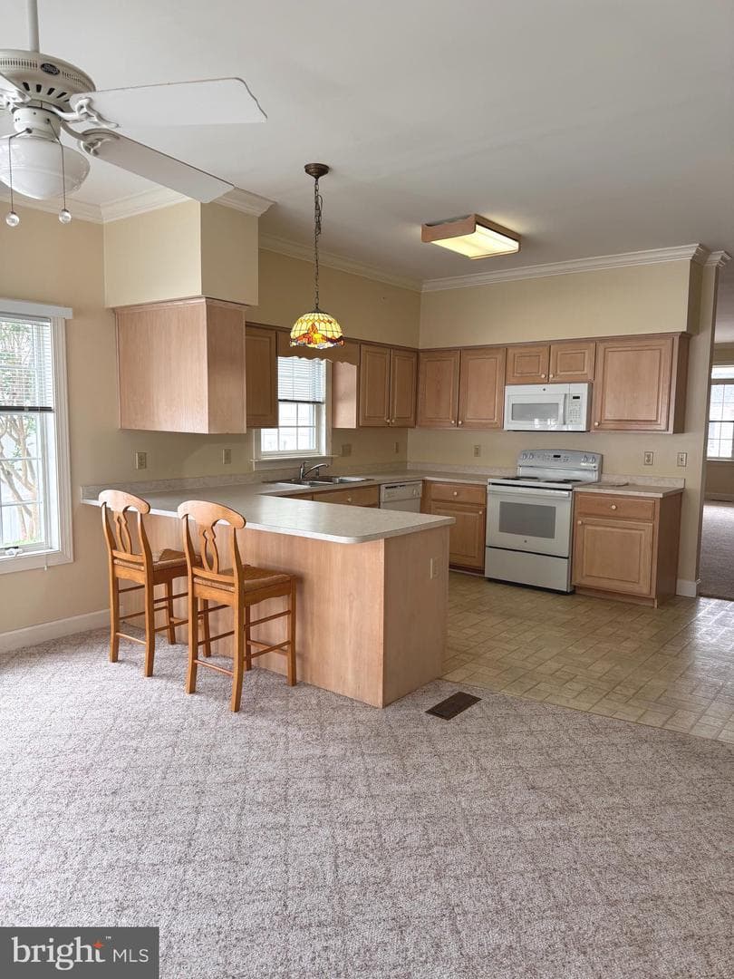 28520 Augusta Court photo 6