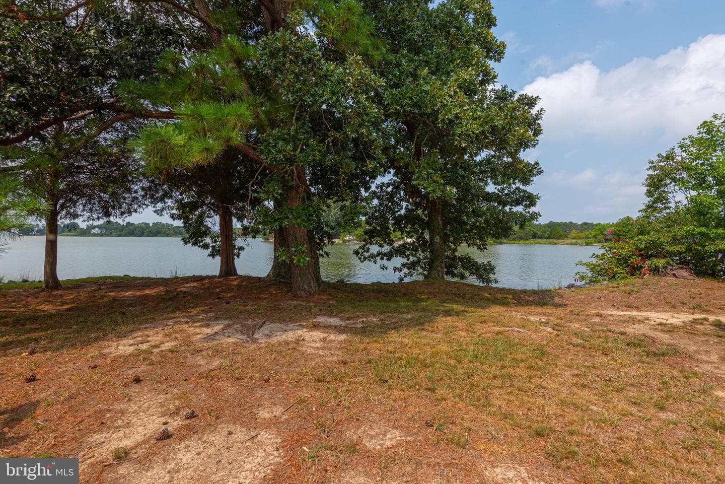 4500 Boone Creek Rd photo 118