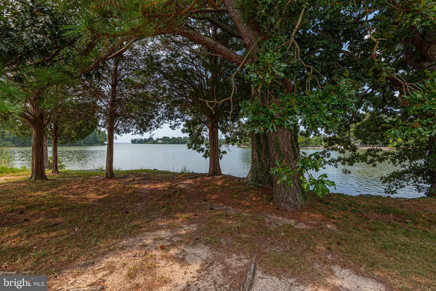 4500 Boone Creek Rd photo 119