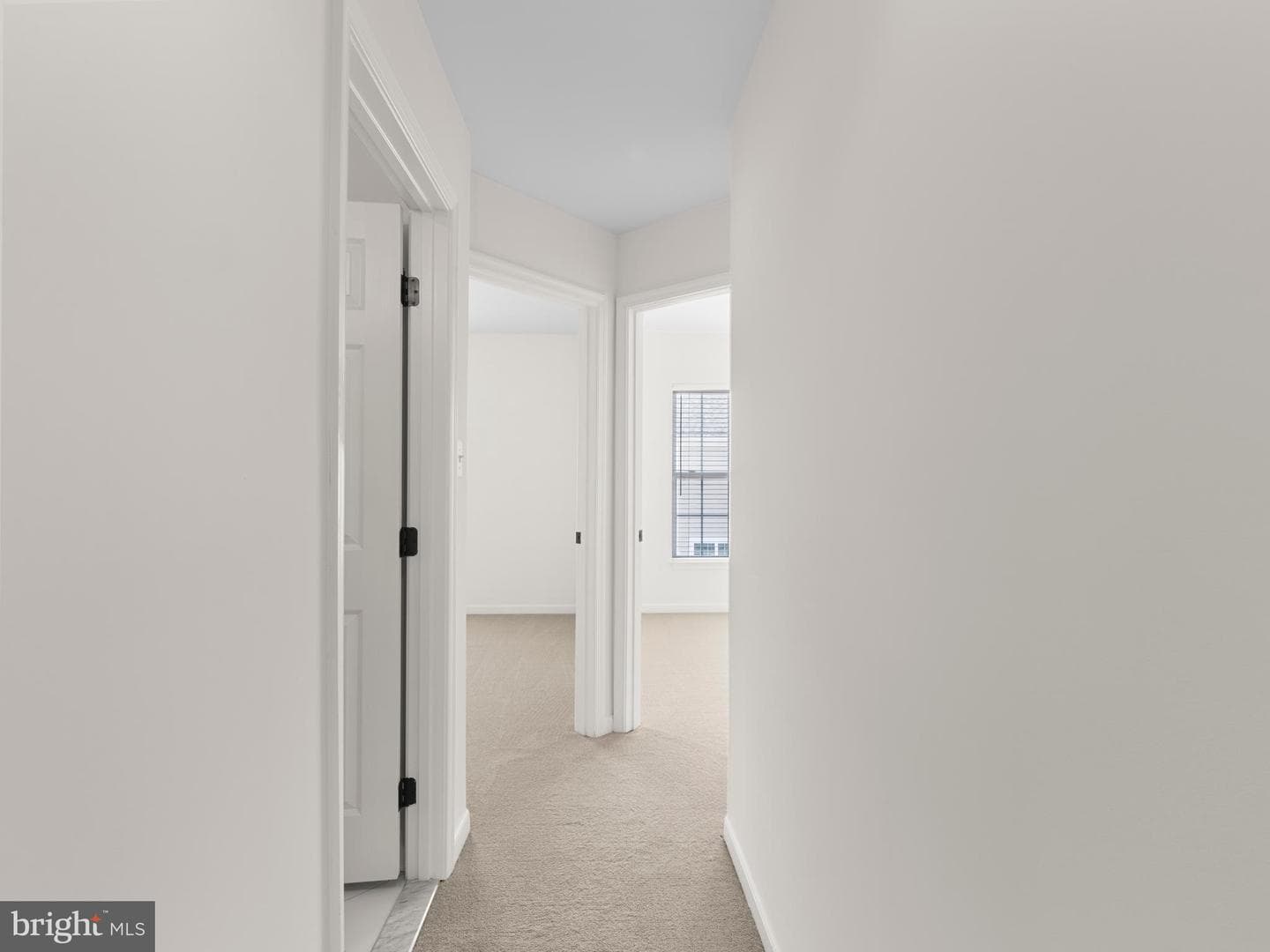 300 Dixon Street #307 photo 22