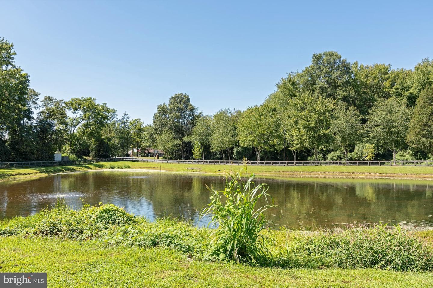 29703 Lakeview Court photo 26