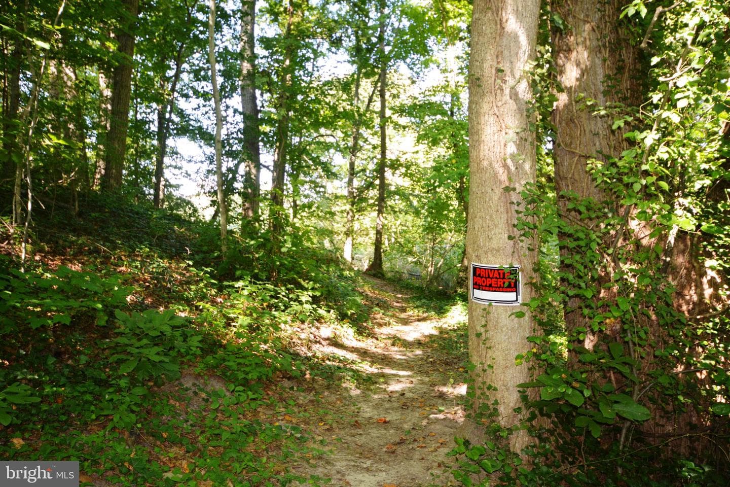 28593 Edgemere Road photo 55