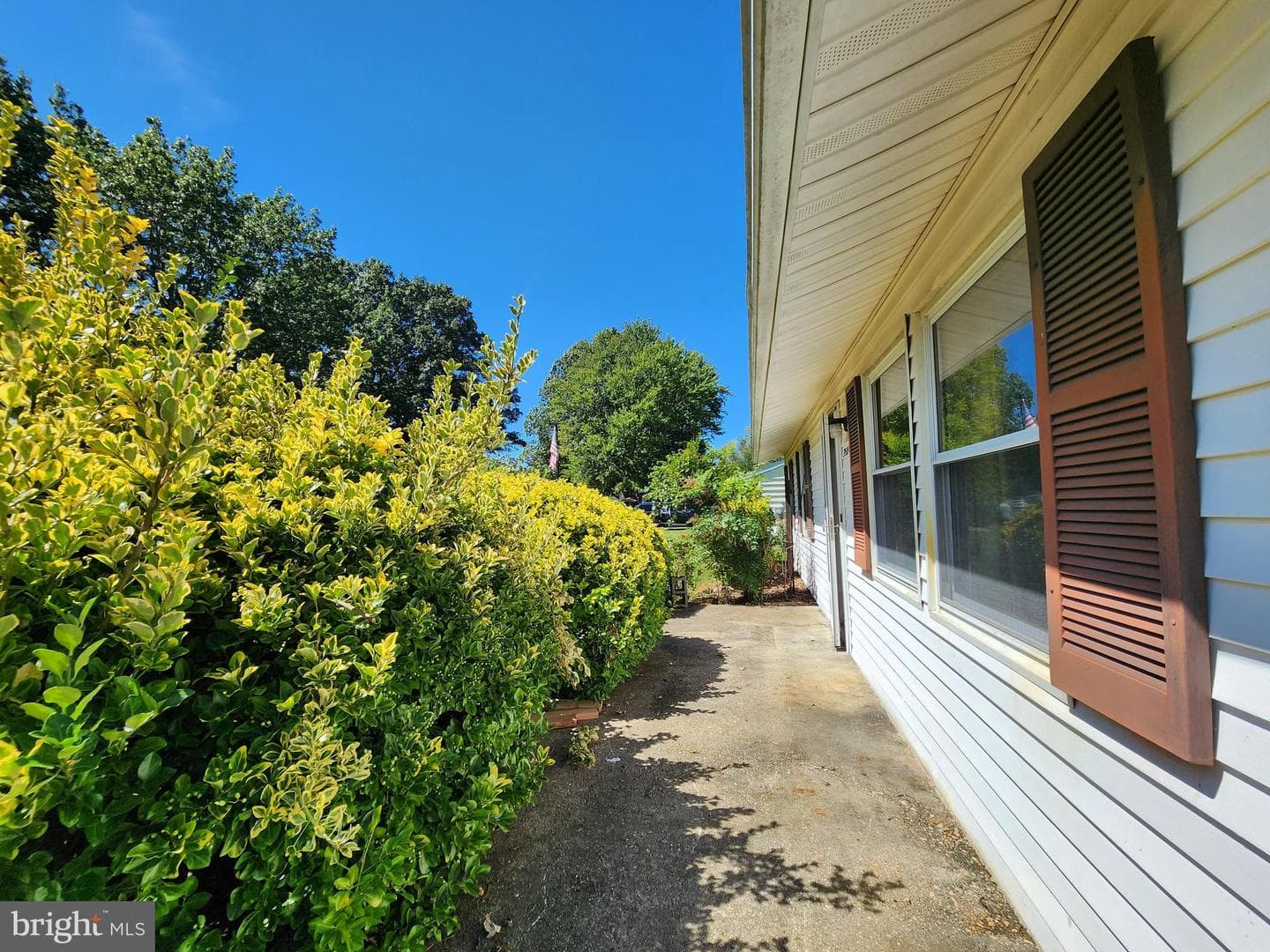 29506 Golton Drive photo 5