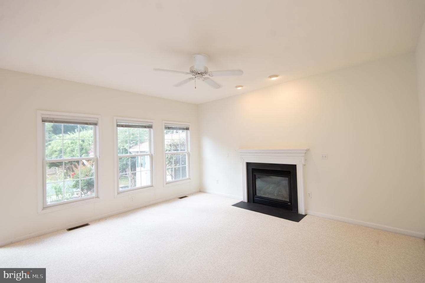 8862 Roundhouse Circle photo 17