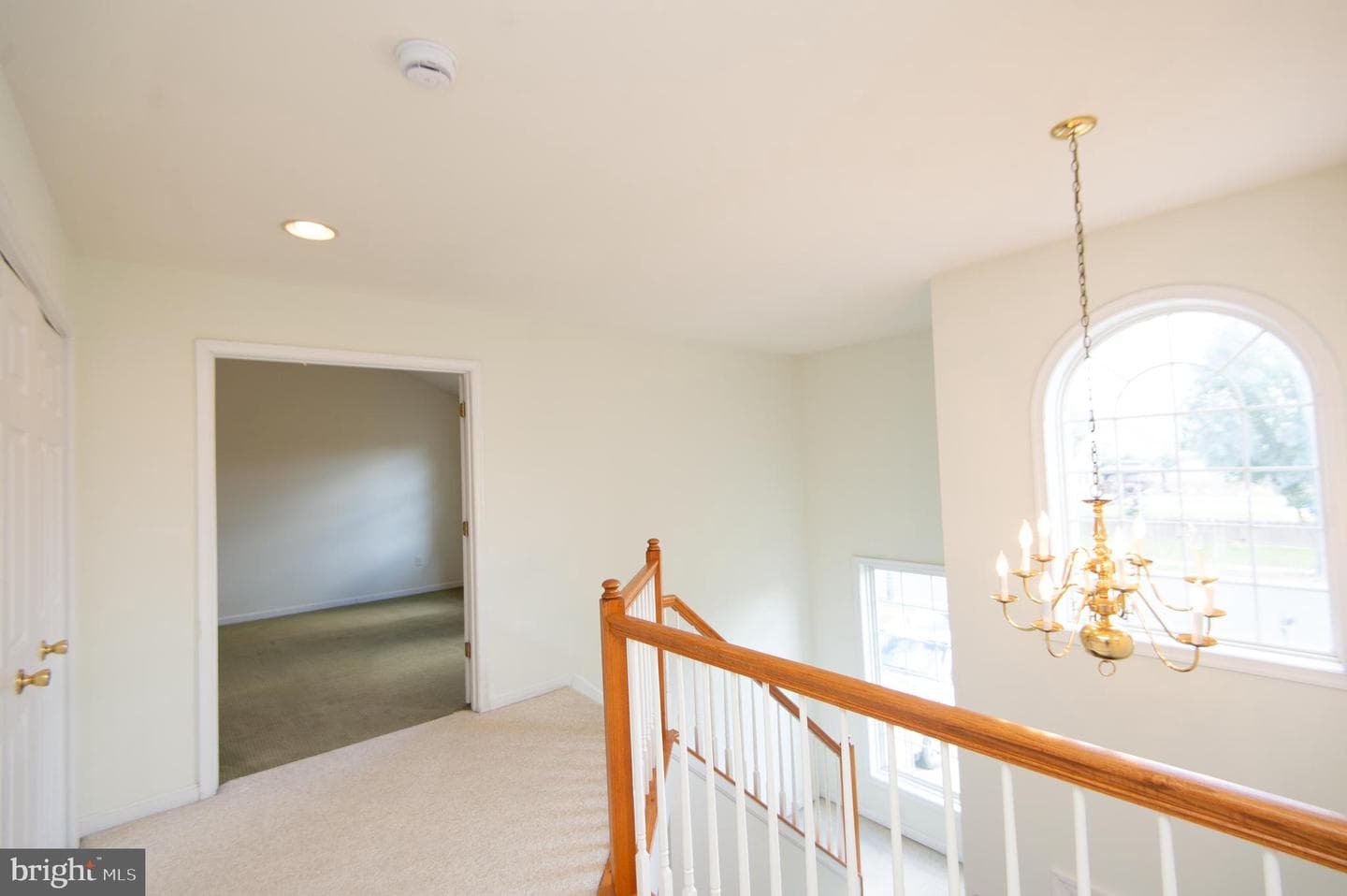 8862 Roundhouse Circle photo 23
