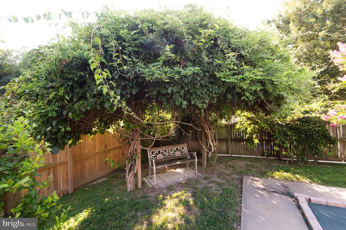 8862 Roundhouse Circle photo 41