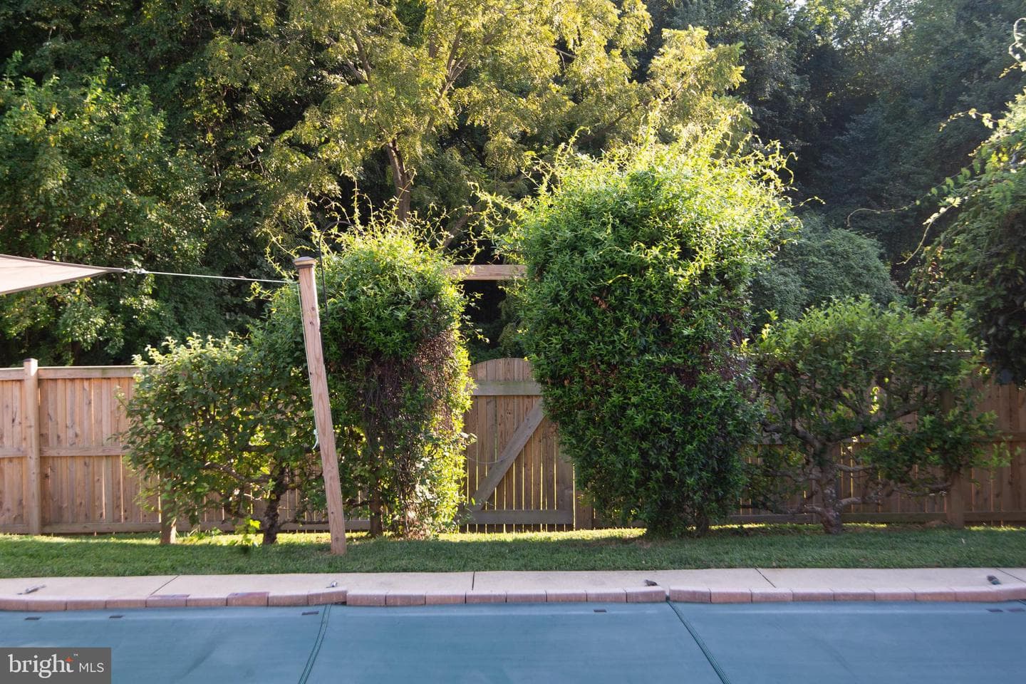 8862 Roundhouse Circle photo 43